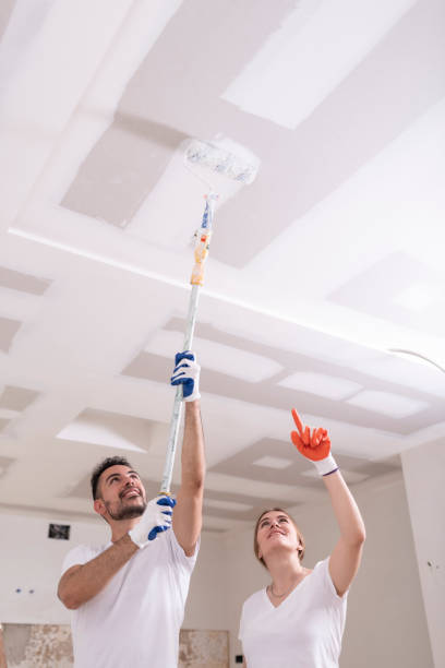 Mold Removal for HVAC Installations in Severn, MD